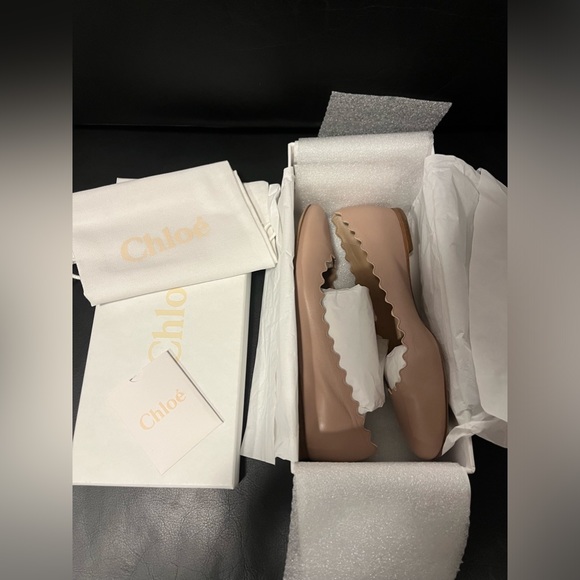 NWT Chloe Ballerina Flats - Picture 4 of 10